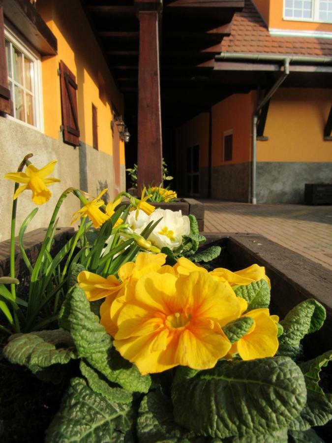 Maison D'Hotes La Ferme Pierre*** Donnenheim ภายนอก รูปภาพ