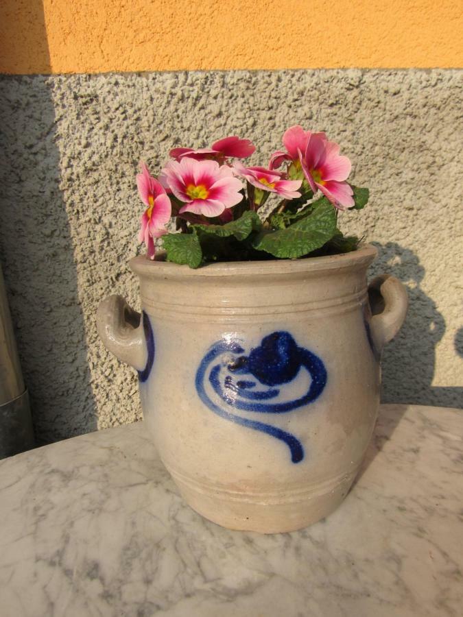 Maison D'Hotes La Ferme Pierre*** Donnenheim ภายนอก รูปภาพ