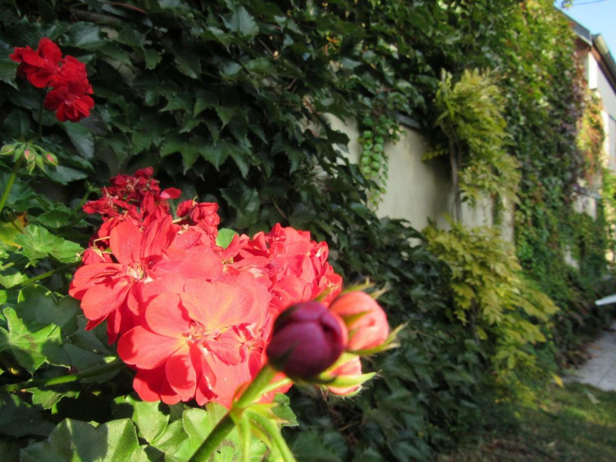 Maison D'Hotes La Ferme Pierre*** Donnenheim ภายนอก รูปภาพ